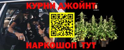 амф Балахна