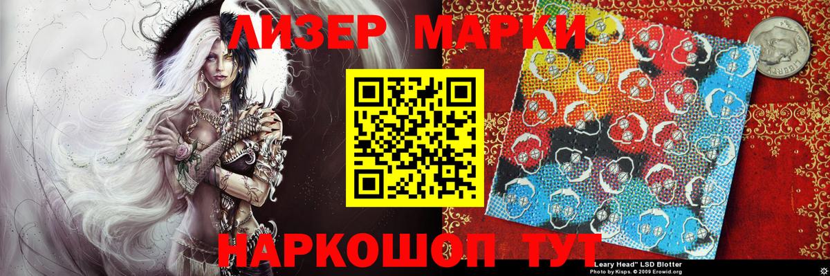 МЕФ Дмитров